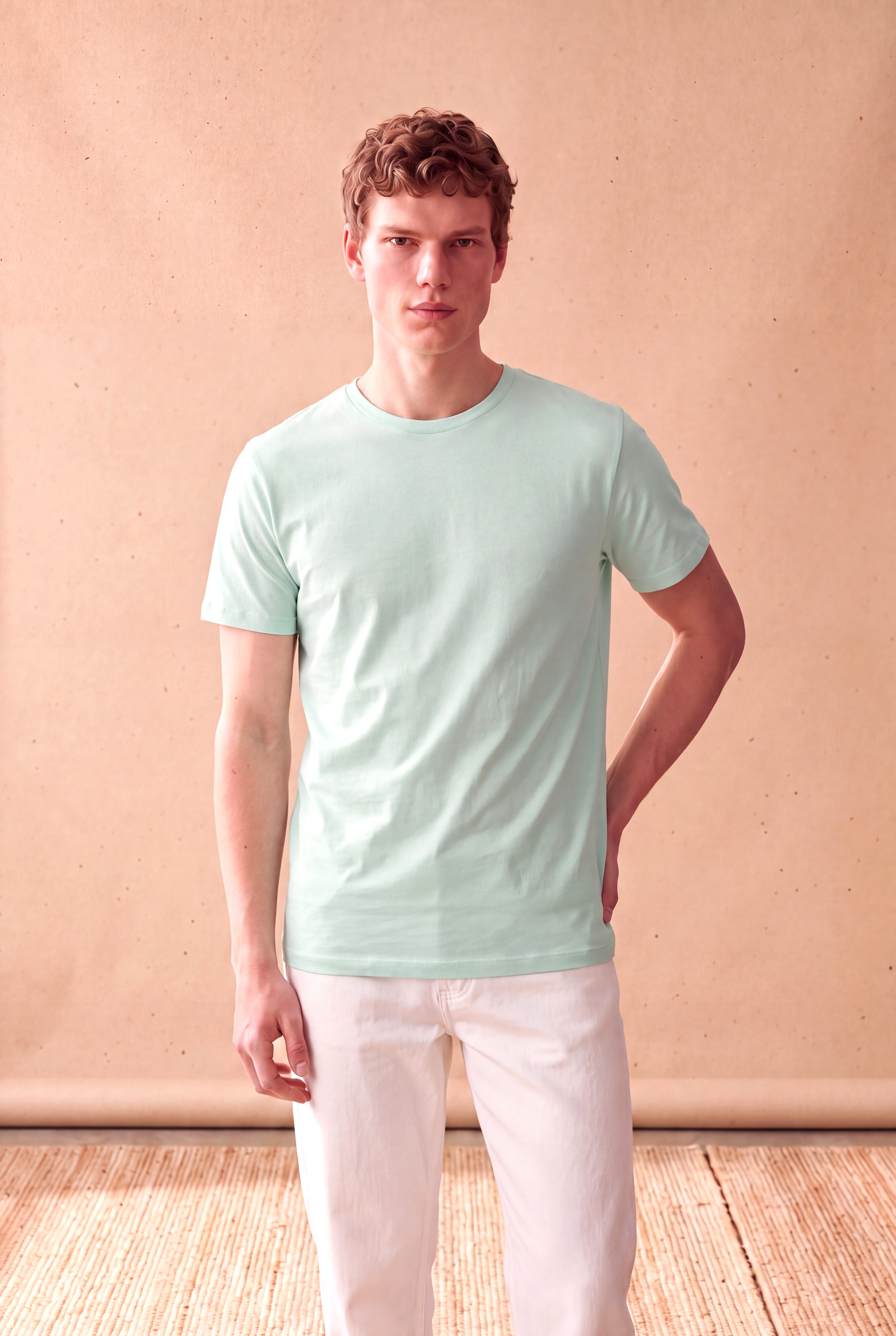 Erkek %100 Pamuk Açık Yeşil Kısa Kollu Bisiklet Yaka Basic T-Shirt OLAV