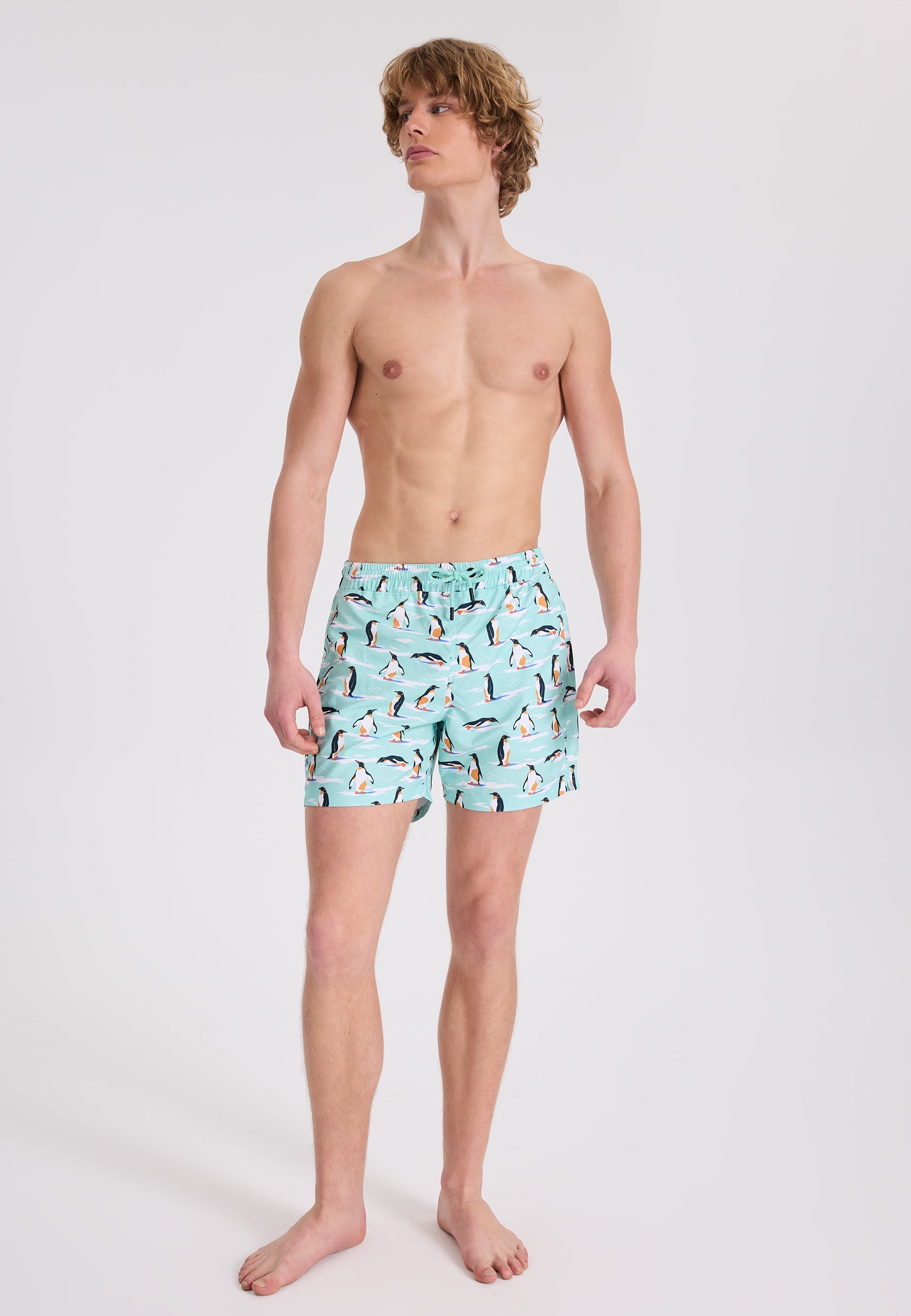 Mint Penguen Baskılı Regular Fit Erkek Deniz Şortu WMANIMAL - Swim Shorts - Westmark London EU(TR) Store Organik Pamuklu Sürdürülebilir Moda