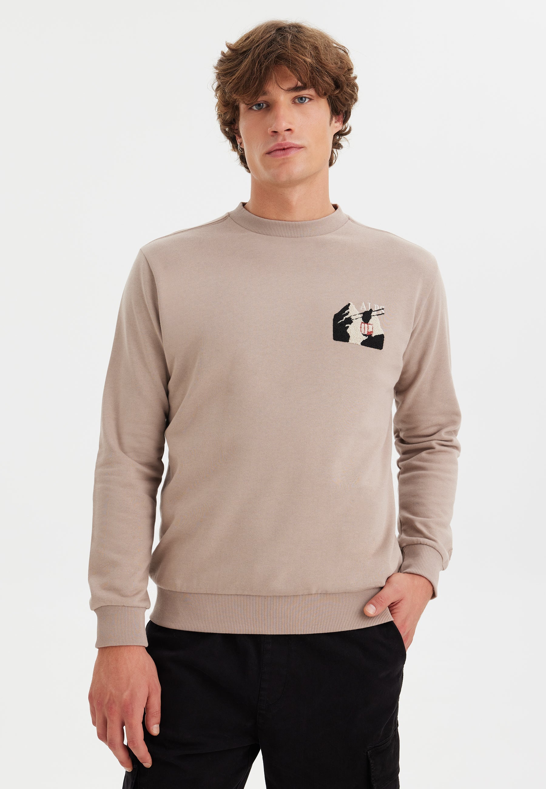 Gri Baskılı Bisiklet Yaka Pamuklu Regula Fit Erkek Sweatshirt WMDESTINATION ALPS - Sweatshirt - Westmark London EU(TR) Store Organik Pamuklu Sürdürülebilir Moda