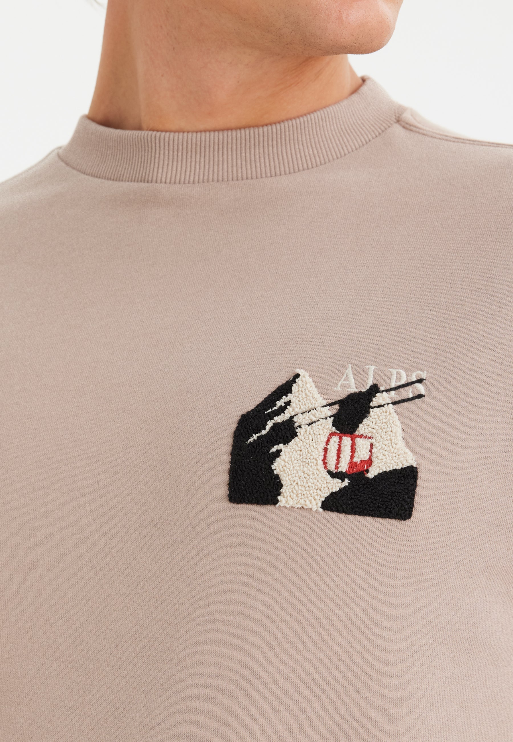Gri Baskılı Bisiklet Yaka Pamuklu Regula Fit Erkek Sweatshirt WMDESTINATION ALPS - Sweatshirt - Westmark London EU(TR) Store Organik Pamuklu Sürdürülebilir Moda