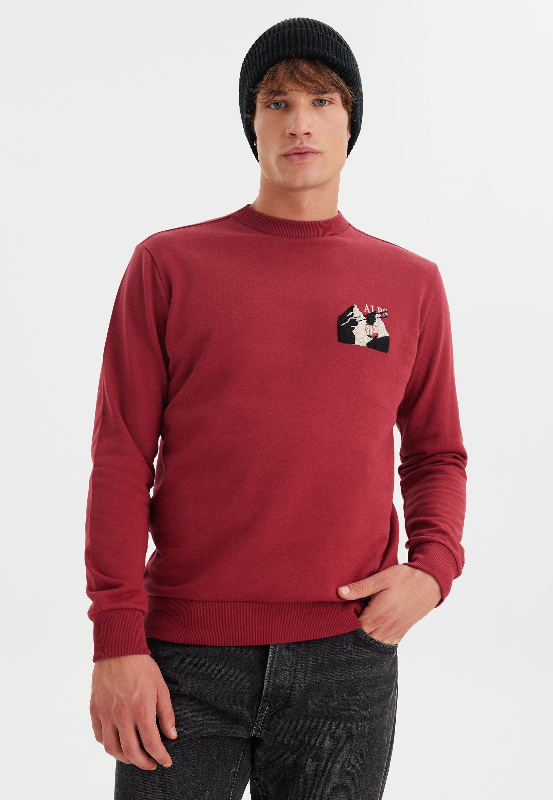 Kırmızı Baskılı Bisiklet Yaka Pamuklu Regular Fit Erkek Sweatshirt WMDESTINATION ALPS - Sweatshirt - Westmark London EU(TR) Store Organik Pamuklu Sürdürülebilir Moda