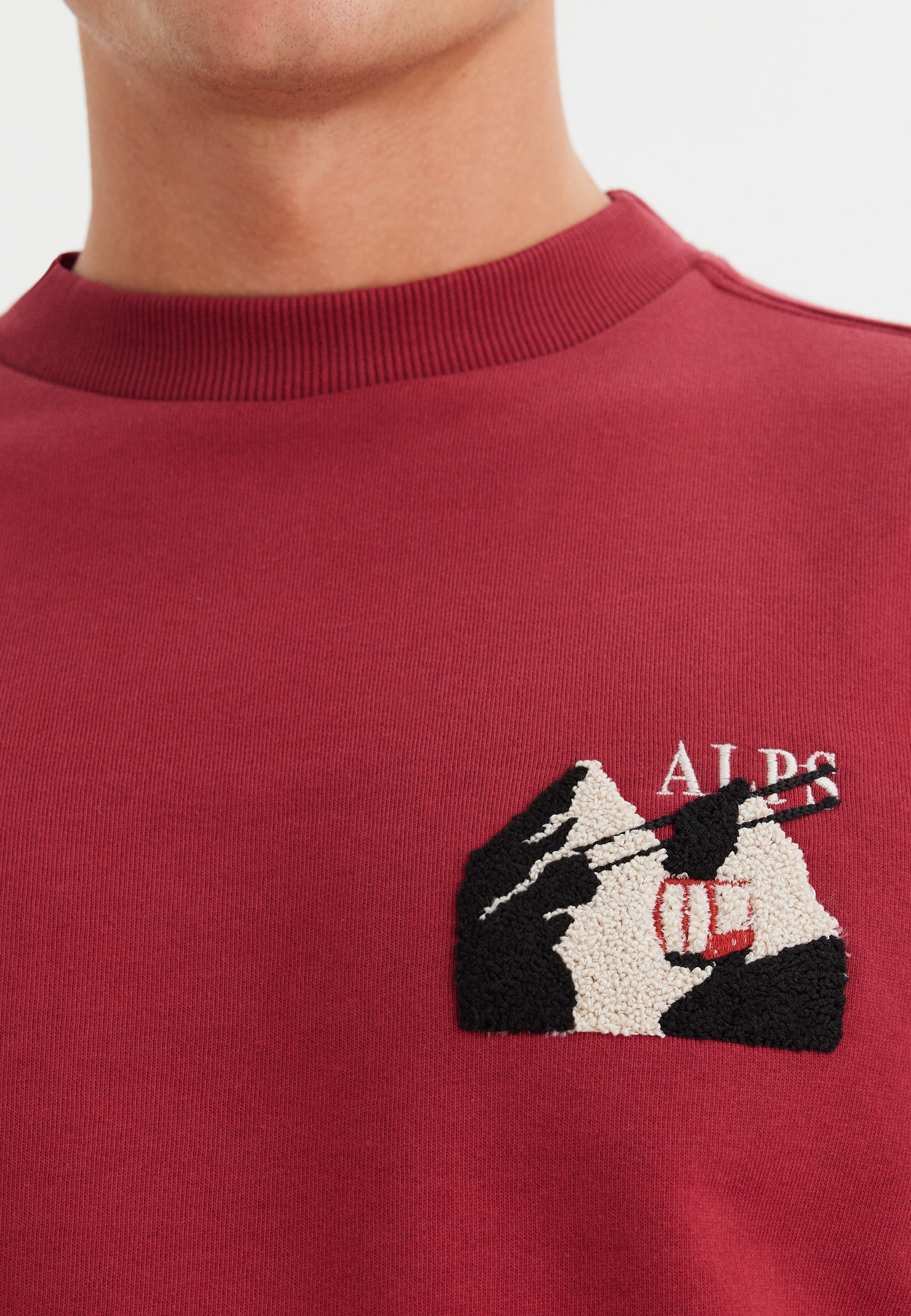 Kırmızı Baskılı Bisiklet Yaka Pamuklu Regular Fit Erkek Sweatshirt WMDESTINATION ALPS - Sweatshirt - Westmark London EU(TR) Store Organik Pamuklu Sürdürülebilir Moda