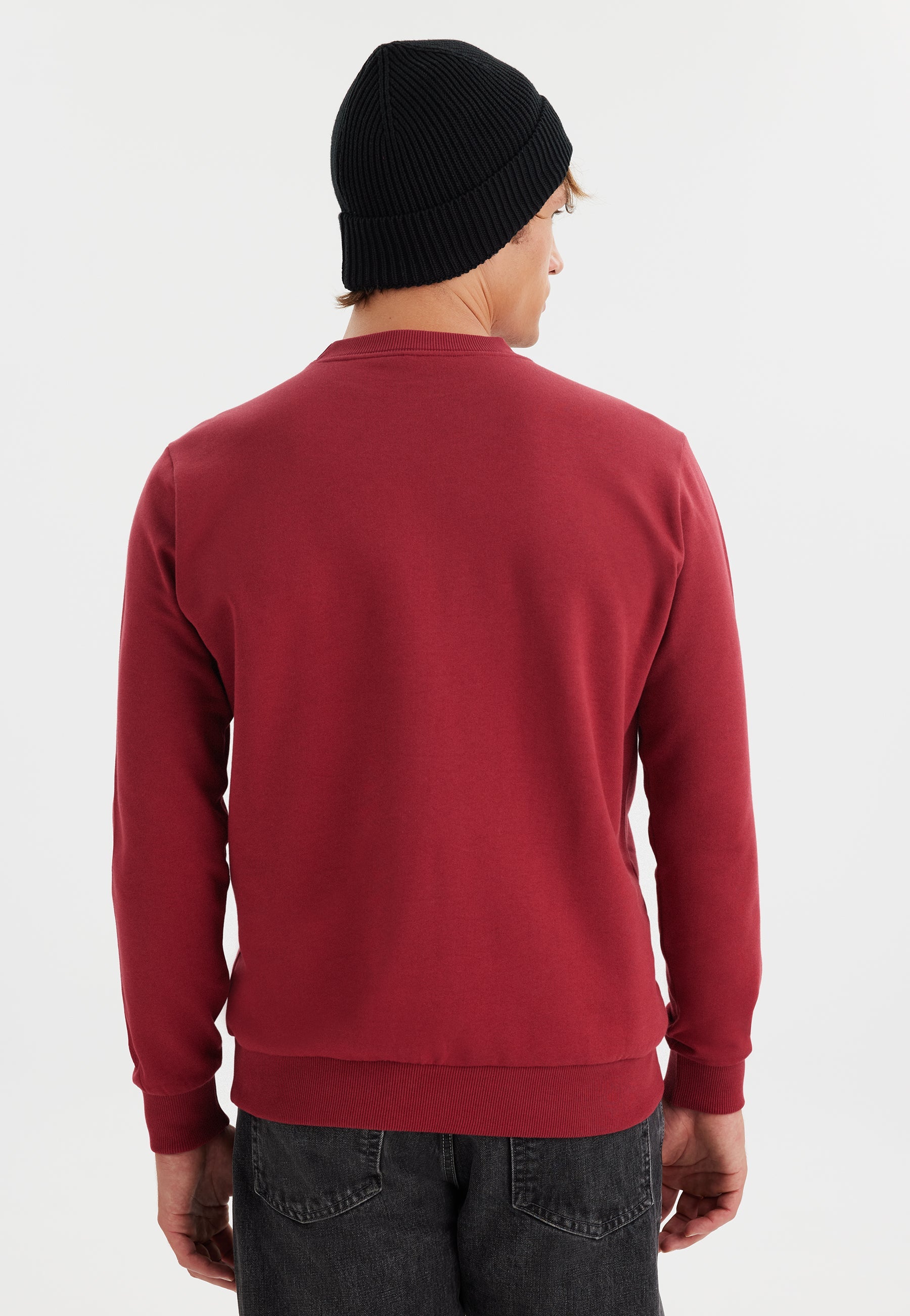 Kırmızı Baskılı Bisiklet Yaka Pamuklu Regular Fit Erkek Sweatshirt WMDESTINATION ALPS - Sweatshirt - Westmark London EU(TR) Store Organik Pamuklu Sürdürülebilir Moda