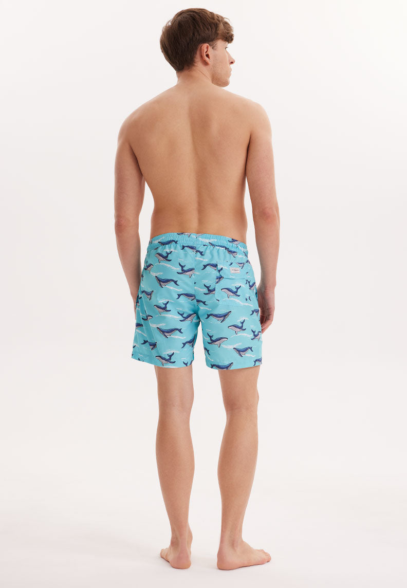 WMANIMAL SHARK SWIM SHORTS in Turquoise AOP - Swim Shorts - Westmark London EU(TR) Store Organik Pamuklu Sürdürülebilir Moda