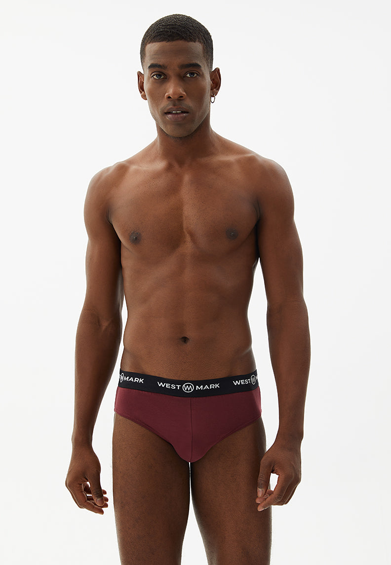 LOGAN BRIEF 3-PACK in Grey Melange, Bordeaux, Navy - Underwear - Westmark London EU(TR) Store Organik Pamuklu Sürdürülebilir Moda