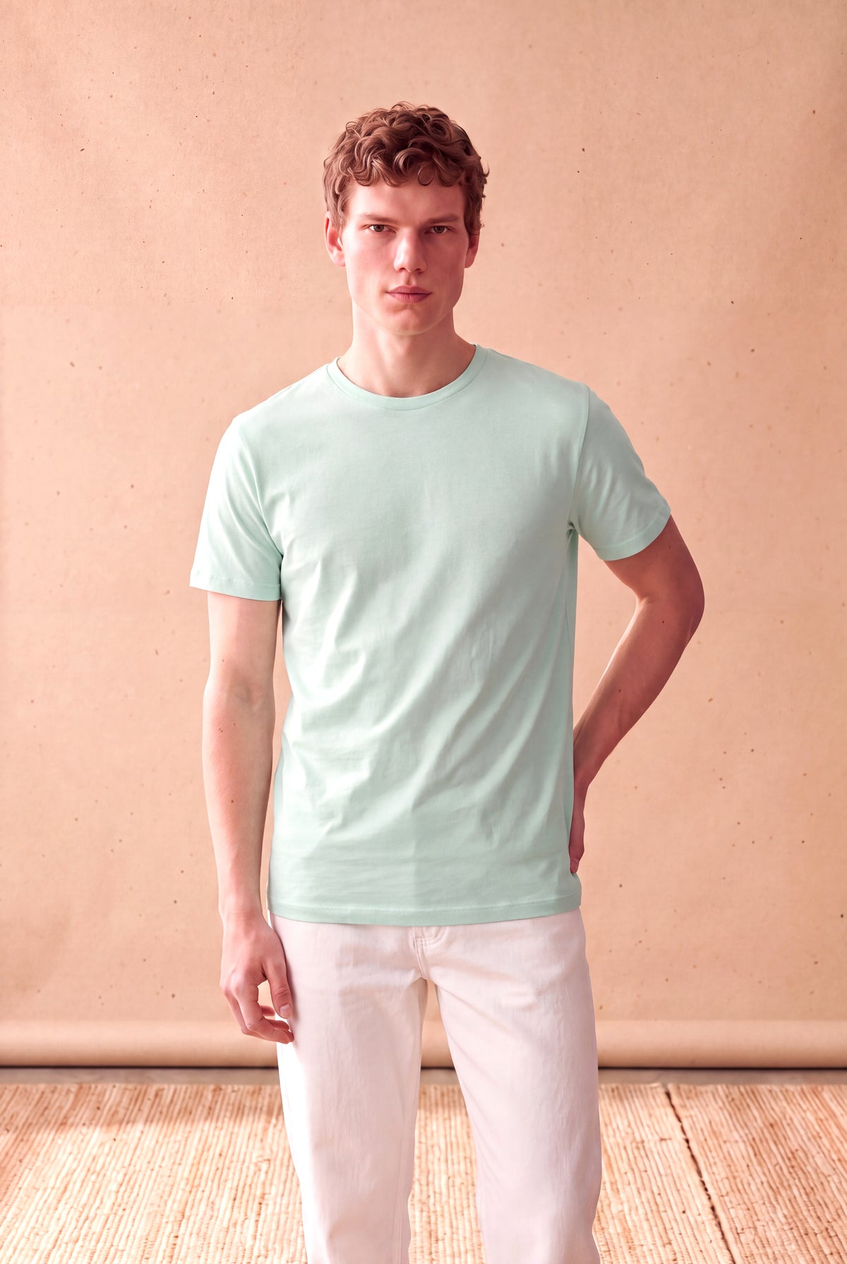 Erkek %100 Pamuk Açık Yeşil Kısa Kollu Bisiklet Yaka Basic T-Shirt OLAV