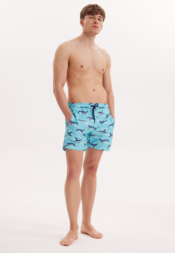 WMANIMAL SHARK SWIM SHORTS in Turquoise AOP - Swim Shorts - Westmark London EU(TR) Store Organik Pamuklu Sürdürülebilir Moda
