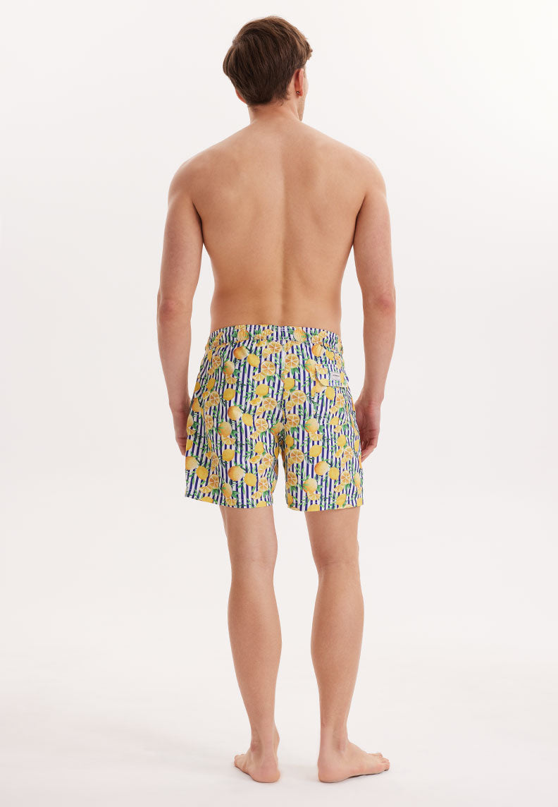 WMSTRIPE LIME SWIM SHORTS in Yellow AOP - Swim Shorts - Westmark London EU(TR) Store Organik Pamuklu Sürdürülebilir Moda