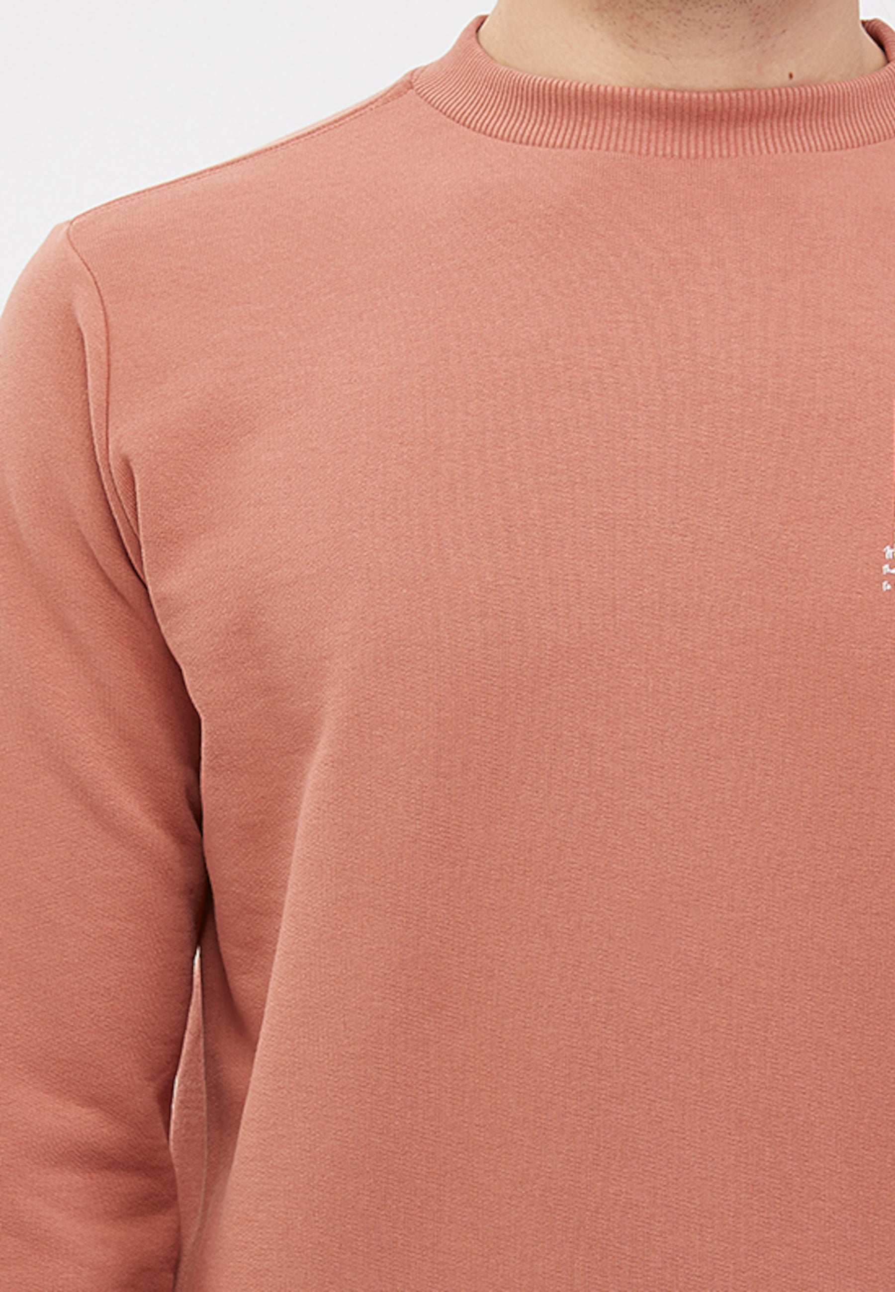 Kiremit Bisiklet Yaka Basic Pamuklu Regular Fit Erkek Sweatshirt CORE - Sweatshirt - Westmark London EU(TR) Store Organik Pamuklu Sürdürülebilir Moda