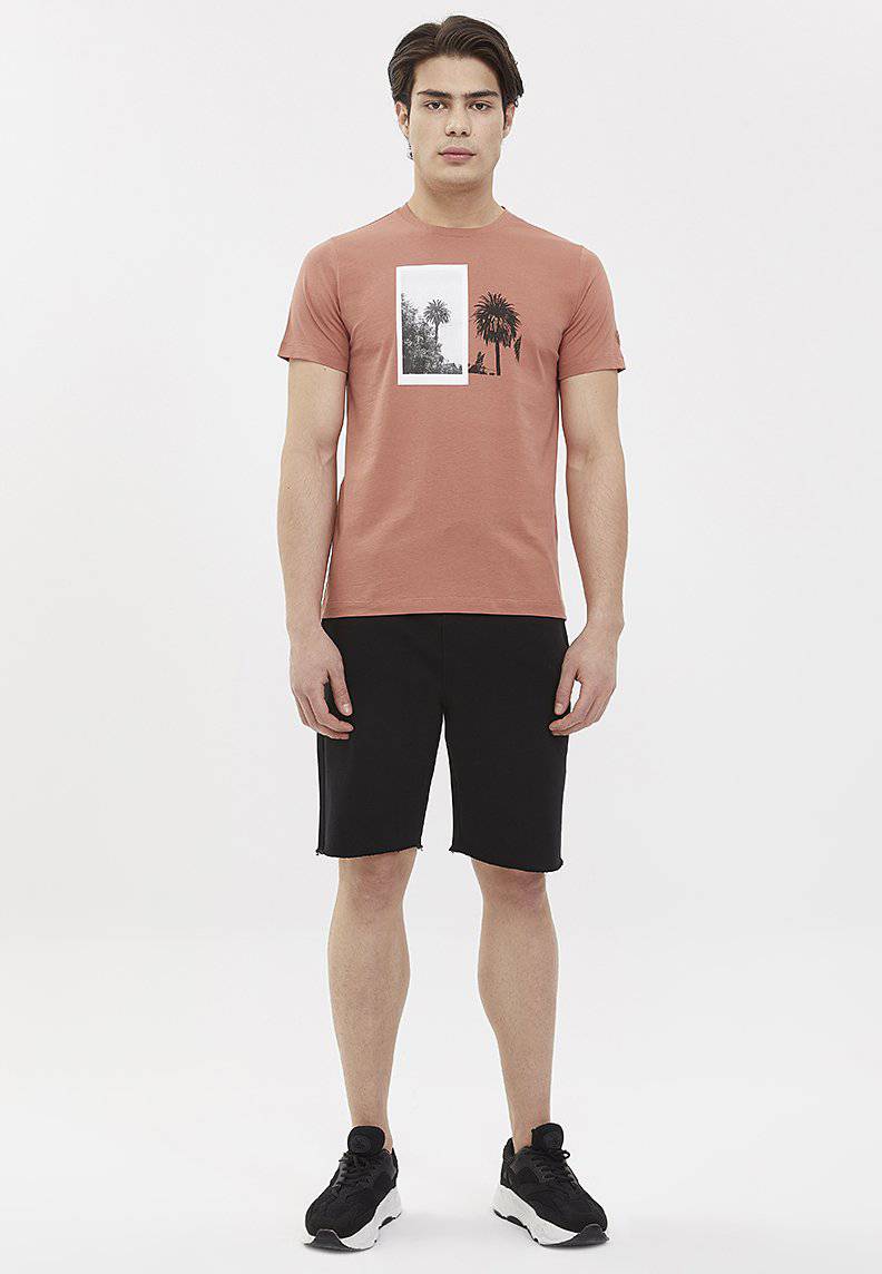 VINTAGE PHOTO TEE - T-Shirt - Westmark London EU(TR) Store Organik Pamuklu Sürdürülebilir Moda