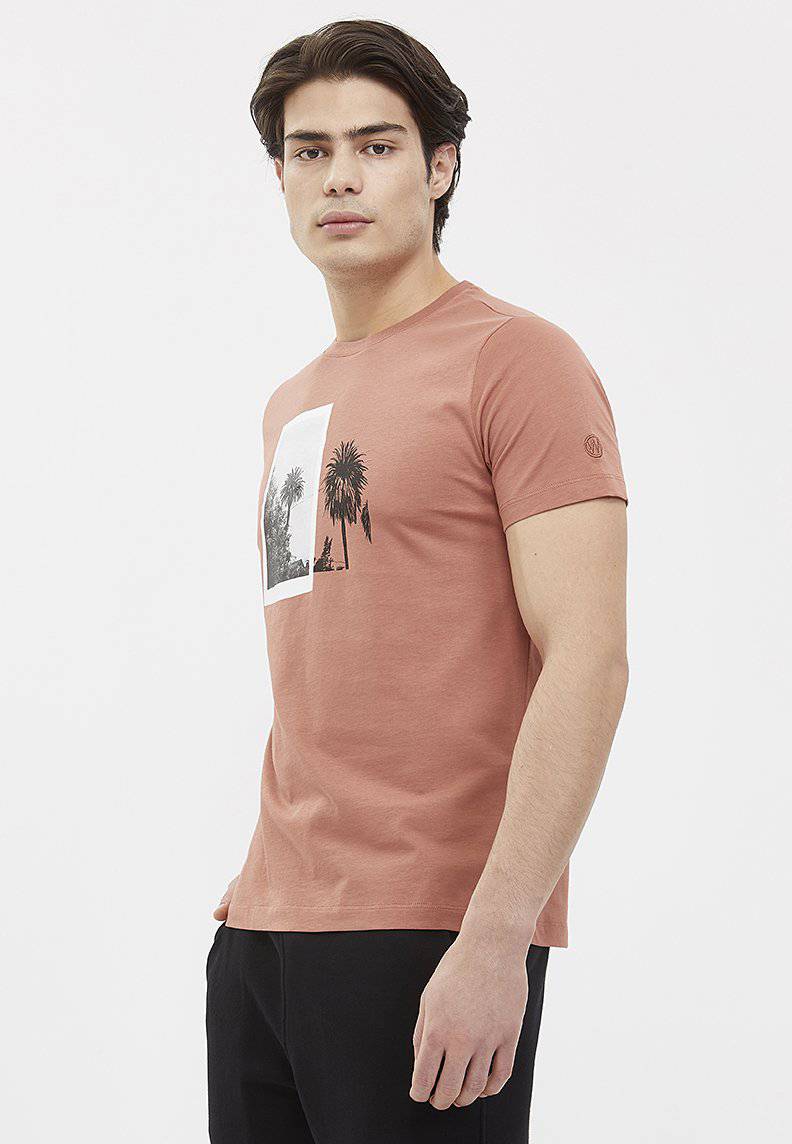 VINTAGE PHOTO TEE - T-Shirt - Westmark London EU(TR) Store Organik Pamuklu Sürdürülebilir Moda